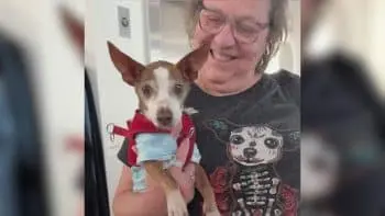 Senior Foster Dogs Throw Nightly Rave Parties Before Adoption
