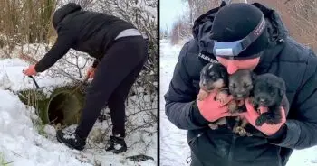 A Desperate Fight Against the Serbian Blizzard