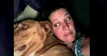 A Surprising Overnight Guest: A Mystery Dog Finds a New Bed