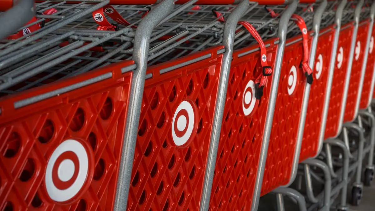 Target's $20 Cat Tunnel Scratcher Is an 'Instant Hit