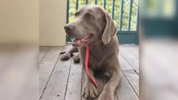 Taysum Sets Strict Limit on Fetch Sessions