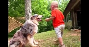 Tennessee Parents Terrified After Puppy Lunges at Toddler, Then Spot Baby’s Footprint