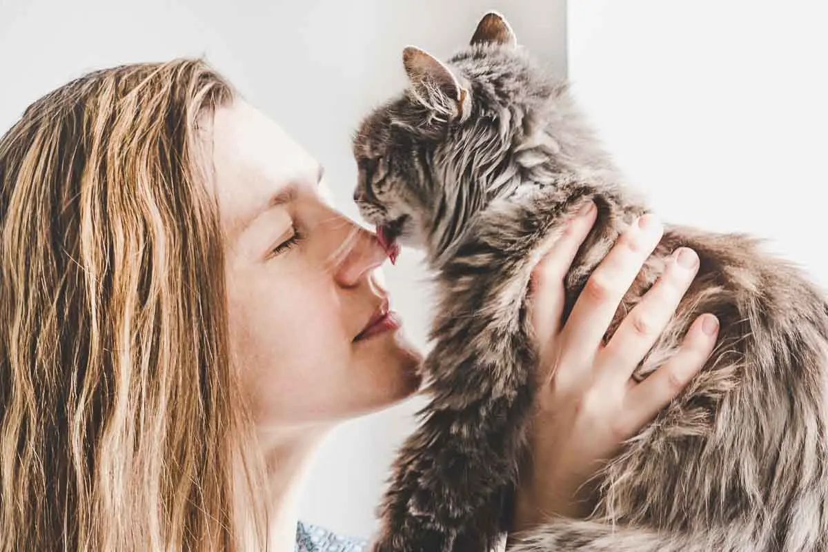 The Mystery Behind Your Cat’s Sudden Shift From Licking To Biting