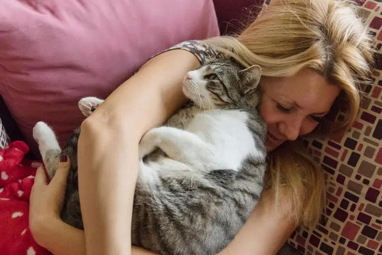 The Quiet Magic of Living With a Cat