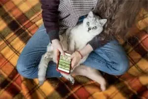 Why Felines Intercept Our Mobile Devices
