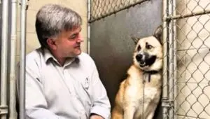 A Timid Feral Dog Finds A Forever Home After Last-Minute Rescue