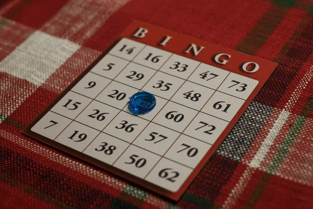 Tiny Maltipoo Bingo Turns Instagram Into Training Ground