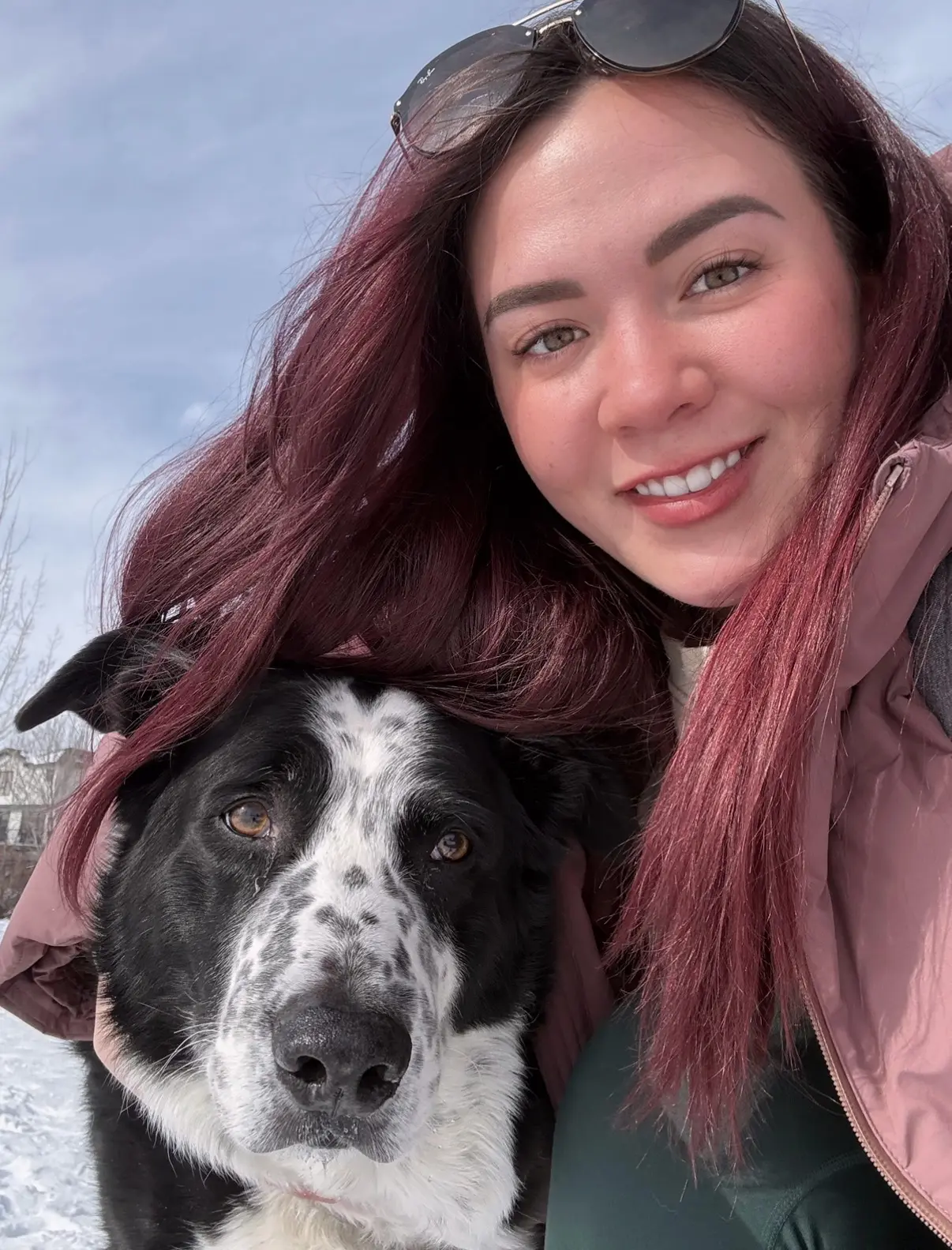 A Chance for Long‑Term Shelter Dogs: To Be Seen and Loved