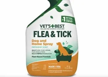 Top Plant‑Based Flea Remedies for Dogs in 2026