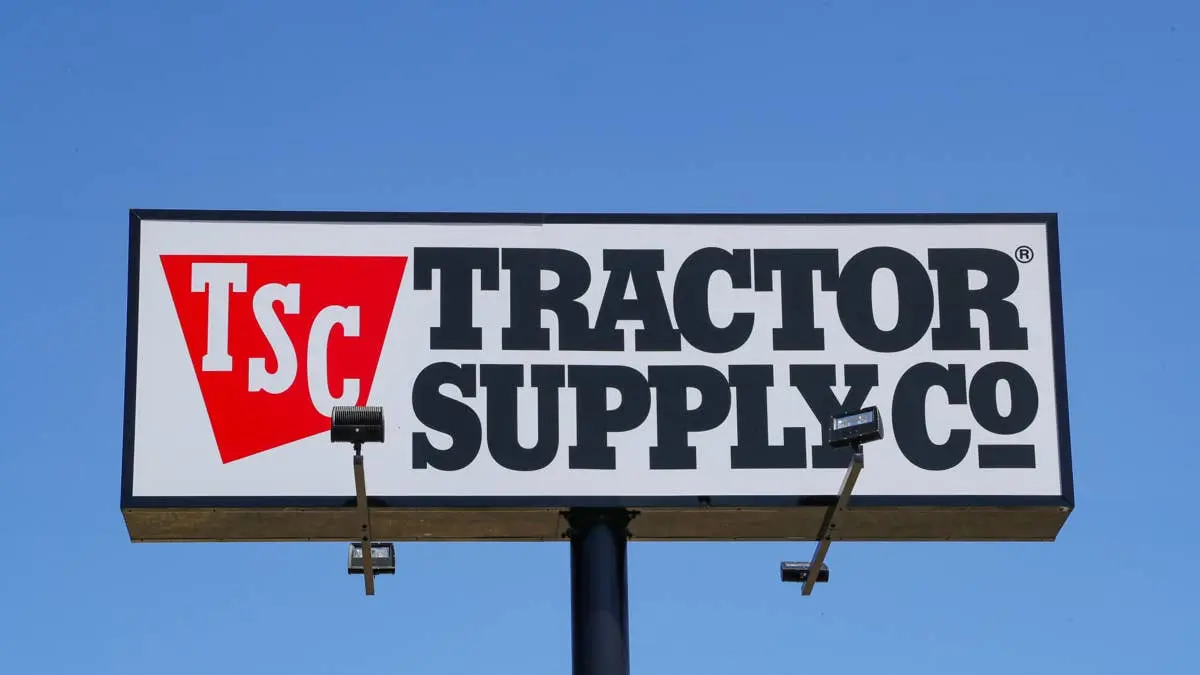 Tractor Supply's Cozy Orthopedic Dog Bed Is Perfect for Burrowing Pups