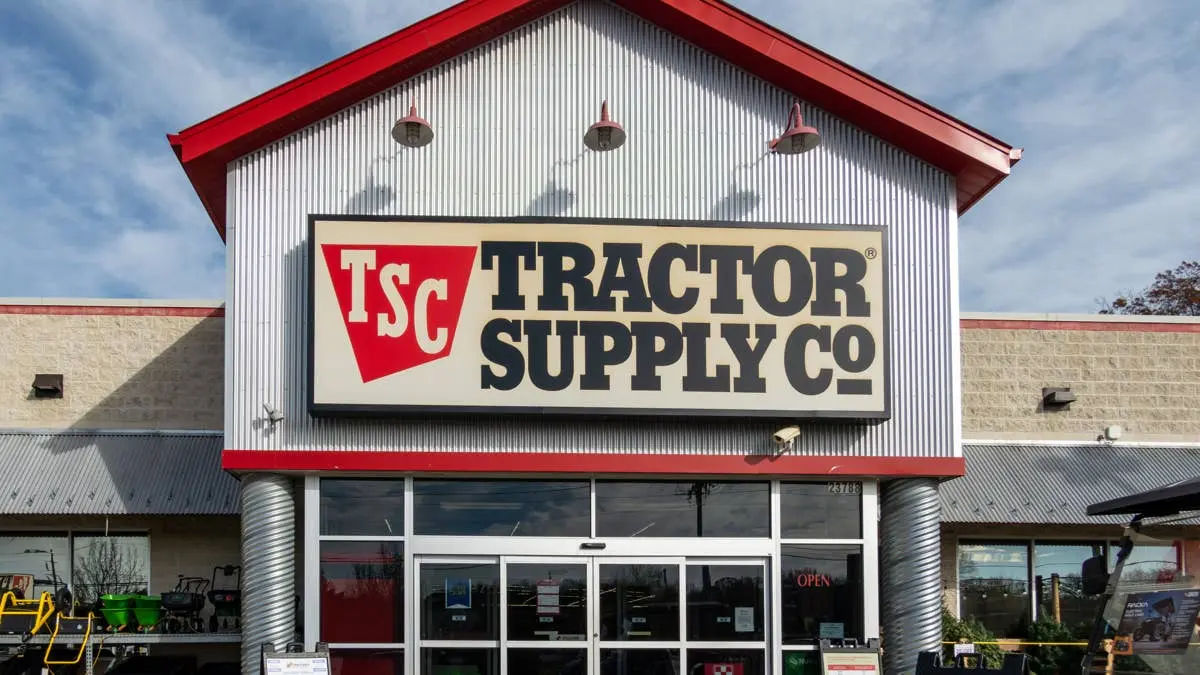 Tractor Supply's $14 Highland Cow Costume Turns Your Dog Into the Fluffiest Farmhand