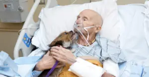 Vietnam Veteran Reunites With Beloved Dog Before Hospice Care