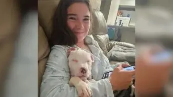 Visually Impaired Rescue Puppy Finds Soulmate in Life-Changing Adoption