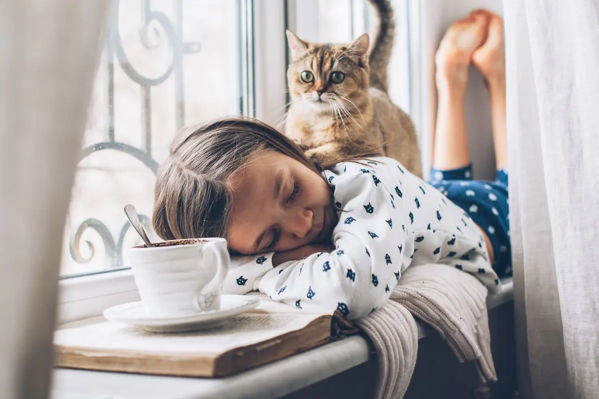 Cat Companions: Why Your Feline Follows You Everywhere