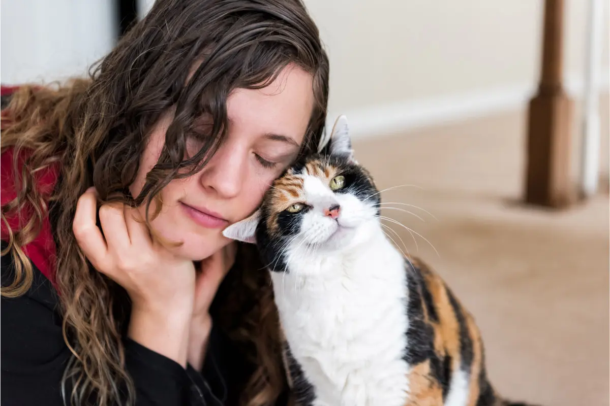 Why Your Cat Rubs Its Face Everywhere — And Why It Includes You