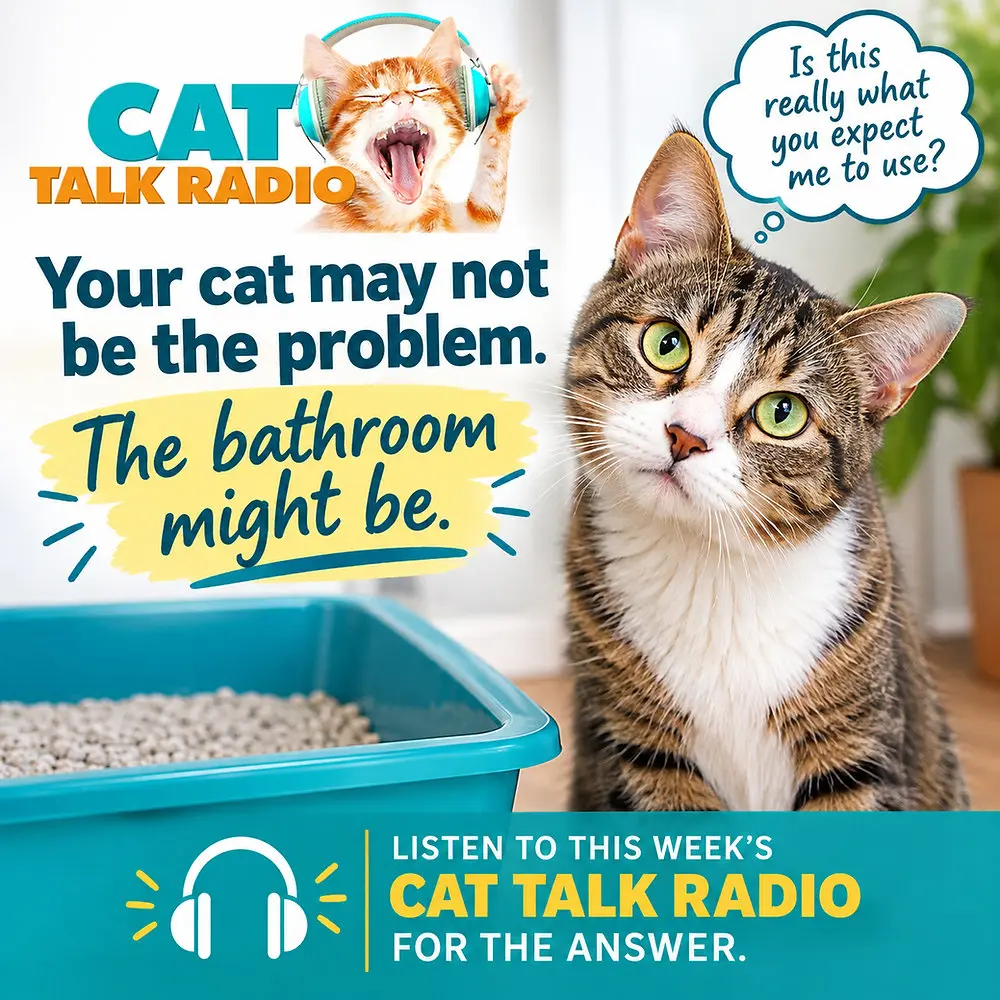 The Cat’s Bathroom Blues: Why Your Feline Is Avoiding the Litter Box