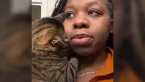 Woman Prays for a Loving Partner, Receives a Clingy Cat Instead