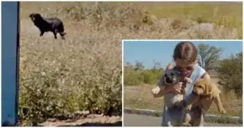 Woman Returns for Final Goodbye After Rescuing Stray Puppies, Wishes Them Well