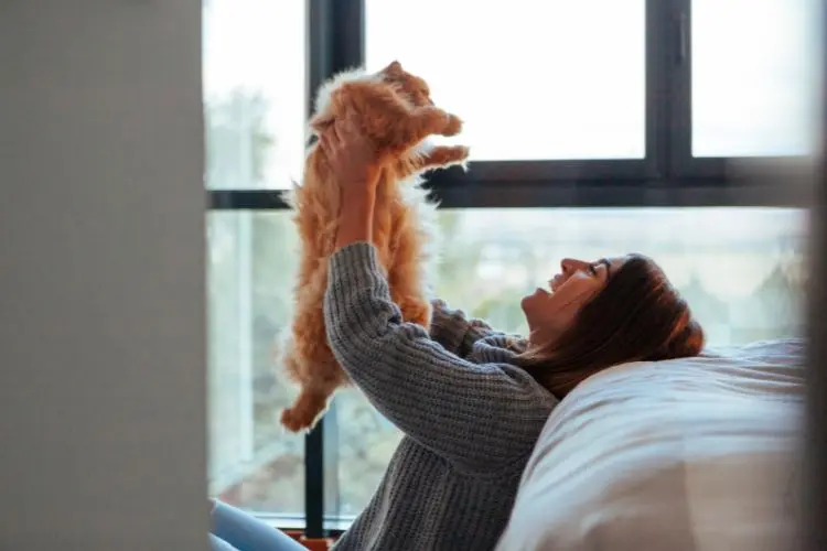 Your Feline Preference Reveals More About Your Personality Than You Think